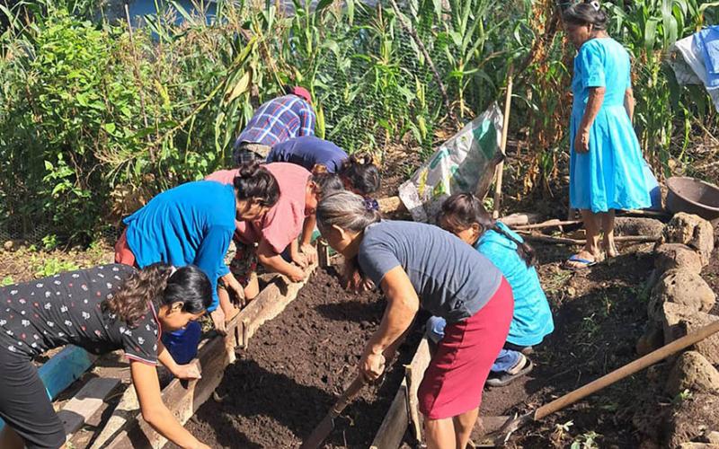 Huertos comunitarios clave para la seguridad alimentaria en Chiquimula