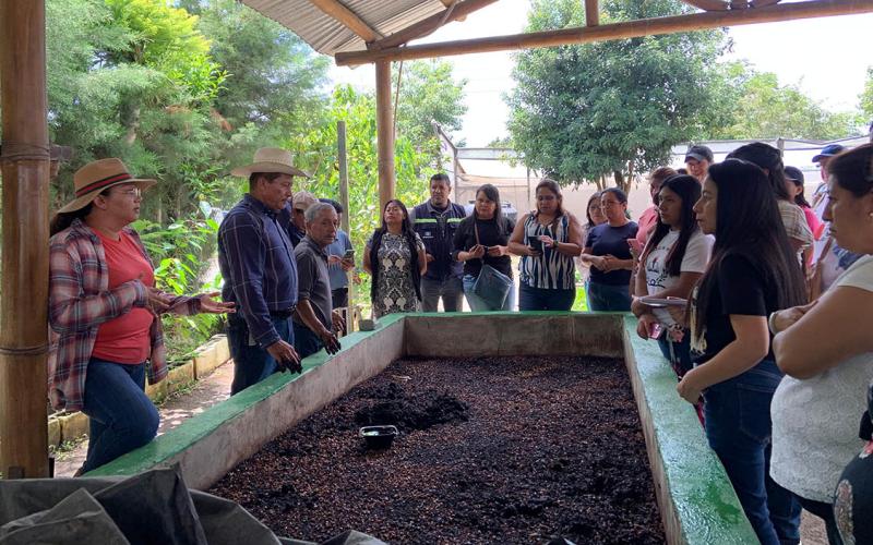 Huertos escolares igual a educación, nutrición y sostenibilidad en las aulas
