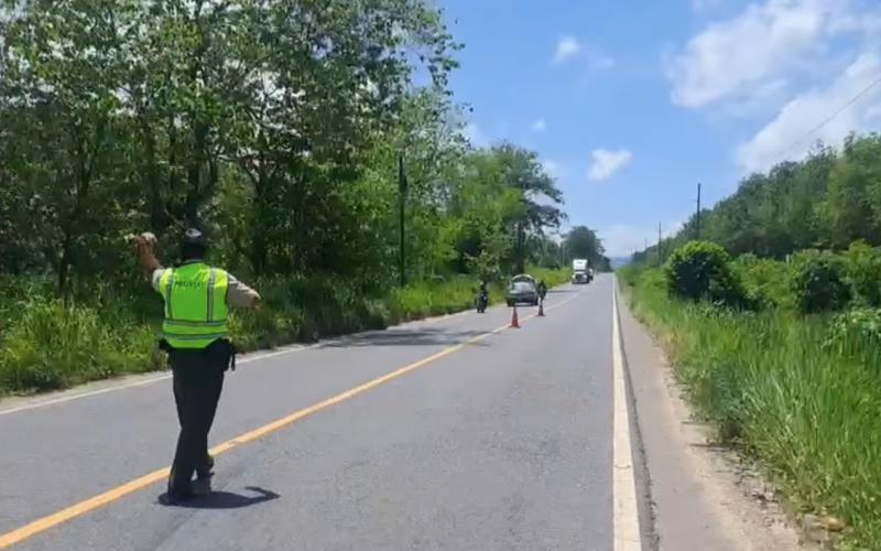 Provial atiende accidente de tránsito en Río Dulce, Izabal; una persona resulta herida  La mañana de este lunes, personal de Provial brindó asistencia en un hecho de tránsito ocurrido en el kilómetro 266 de la ruta CA-13, jurisdicción de Río Dulce, Living