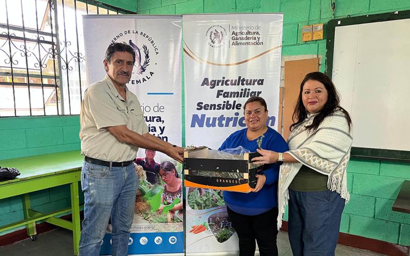 Impulsan huertos escolares para fortalecer la educación y la seguridad alimentaria