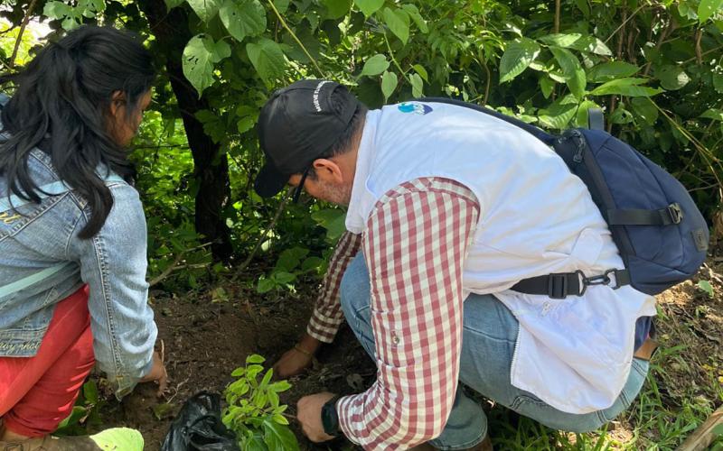 Impulsan recuperación de cobertura vegetal en San José La Arada, Chiquimula