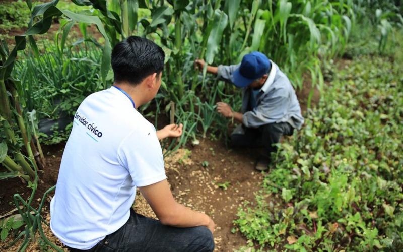 Jóvenes son clave para el extensionismo rural