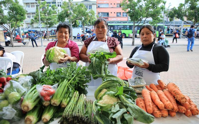 Llegó el día de ahorro y productos frescos con la Feria del Agricultor en Villa Canales