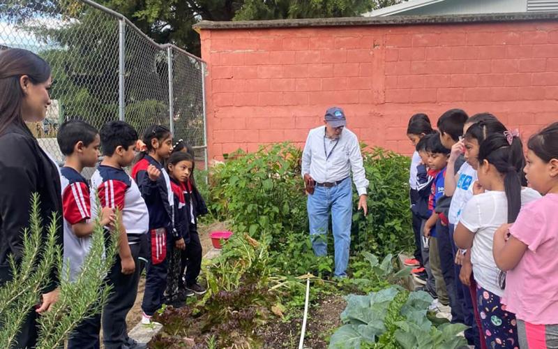 Niños aprenden de nutrición y agricultura en el huerto escolar