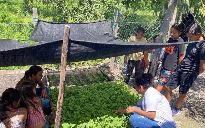 Niños transforman alimentos que ellos mismos cultivan