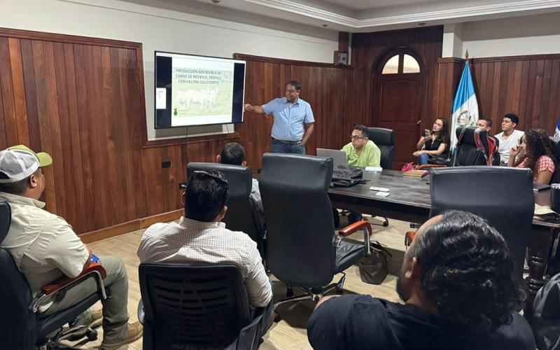 Petén avanza hacia una ganadería más sostenible y productiva
