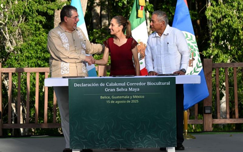 Presidente Bernardo Arévalo, 