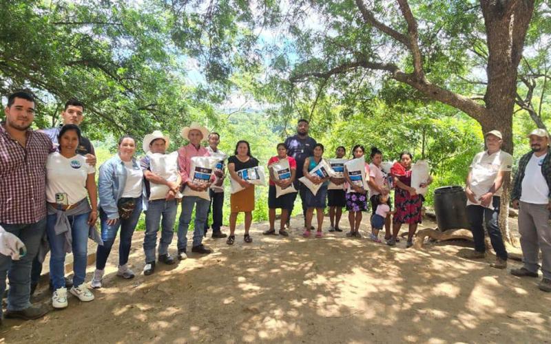 Producción de frijol de El Progreso se fortalece con semilla de calidad