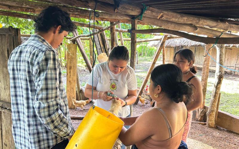 Realizan jornada de vacunación aviar en San Francisco, Petén