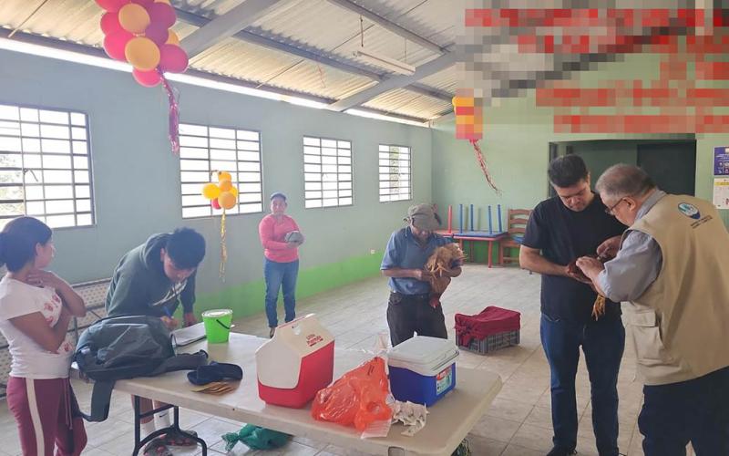 Realizan jornada de vacunación de aves en Villa Nueva