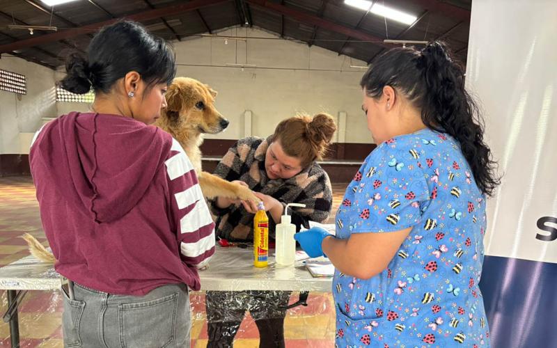 UBA realiza jornada de atención contra el Gusano Barrenador en Sacatepéquez