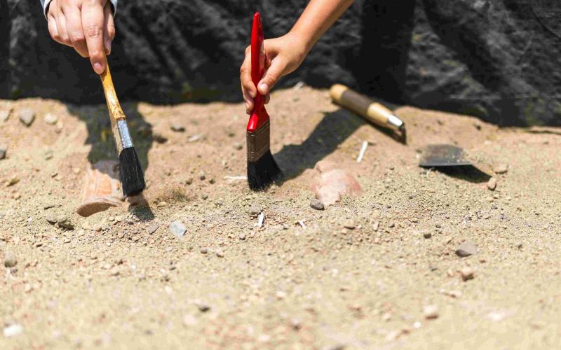 Día del Arqueólogo