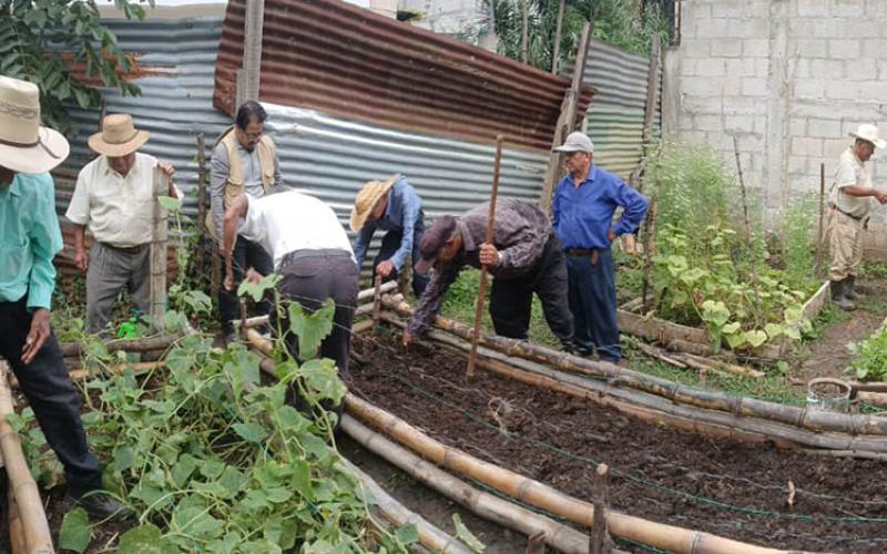 Día de Campo en San Pedro Ayampuc: fortaleciendo las prácticas agrícolas
