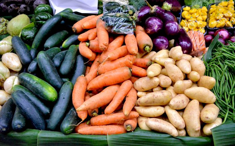 Realizan más de 11 mil gestiones para la importación de productos no procesados