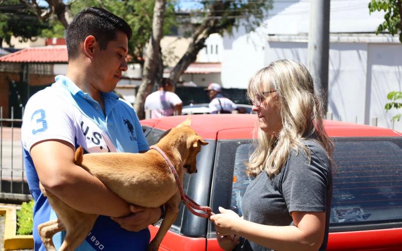 Adoptar un perro es un acto de amor y responsabilidad
