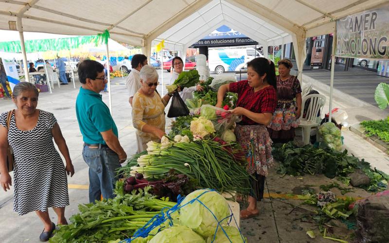 Agricultores de Coatepeque impulsan sus producciones en Feria del Agricultor
