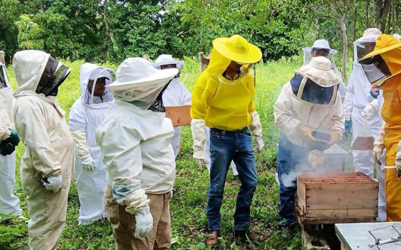Apicultores fortalecen sus conocimientos en diagnóstico de patologías 