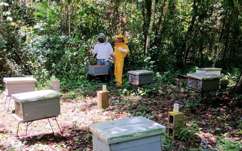 Apicultores peteneros reciben asistencia técnica