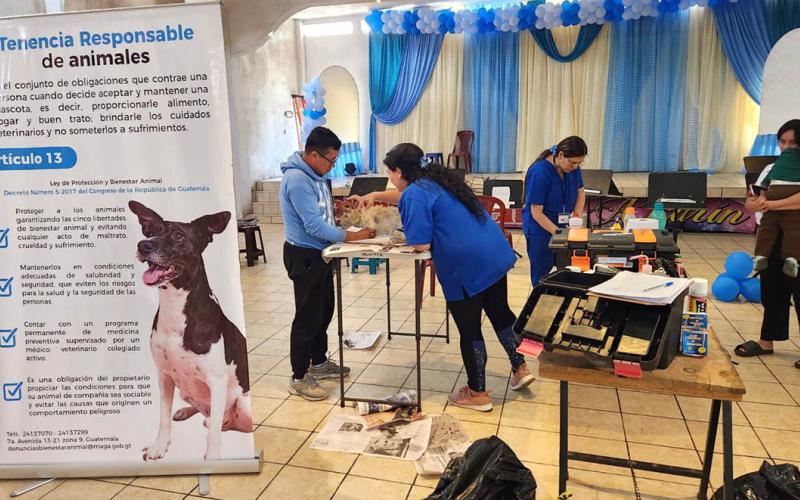 Atienden a mascotas afectadas por gusano barrenador en Sacatepéquez