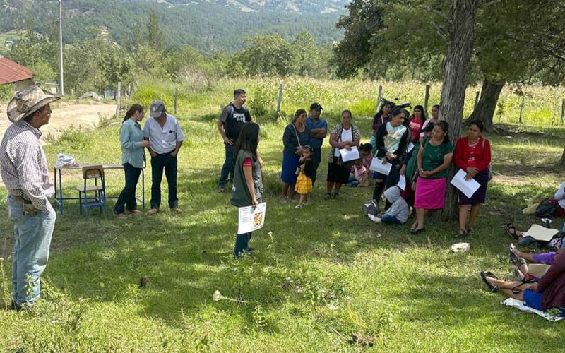 Avances de estrategia Mano a Mano fortalecen agricultura familiar en Guatemala