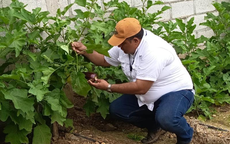 Brindan asistencia técnica en apoyo a huerto familiar de Zacapa