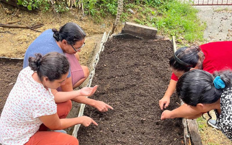 Comunidad de Los Cimientos implementa su primer huerto comunitario