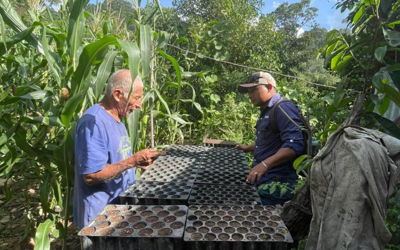 Agricultores de Chiquimula capacitados en la elaboración de semilleros