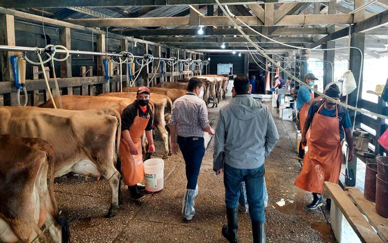 Emisión de 86 licencias sanitarias refuerza la inocuidad de la leche