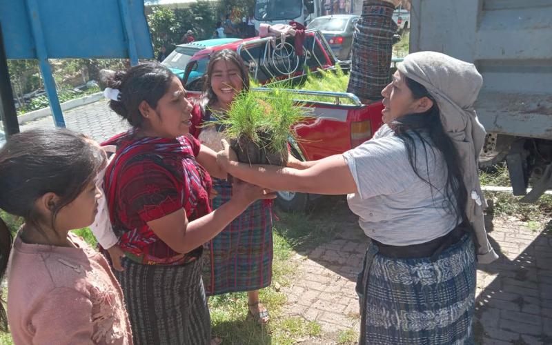 Entregan 10 mil plantas forestales a comunidades aledañas al río Cuilco 