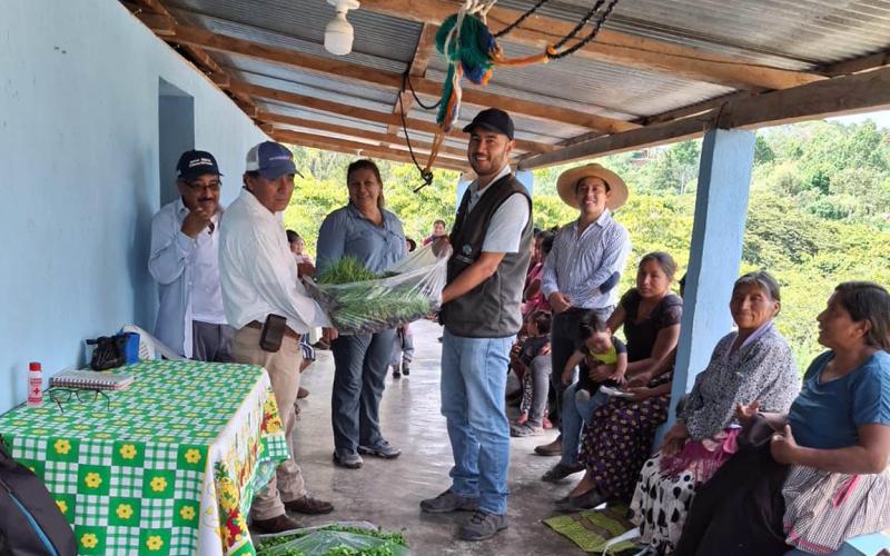 Entregan 20 mil pilones de hortalizas para huertos familiares en Jalapa