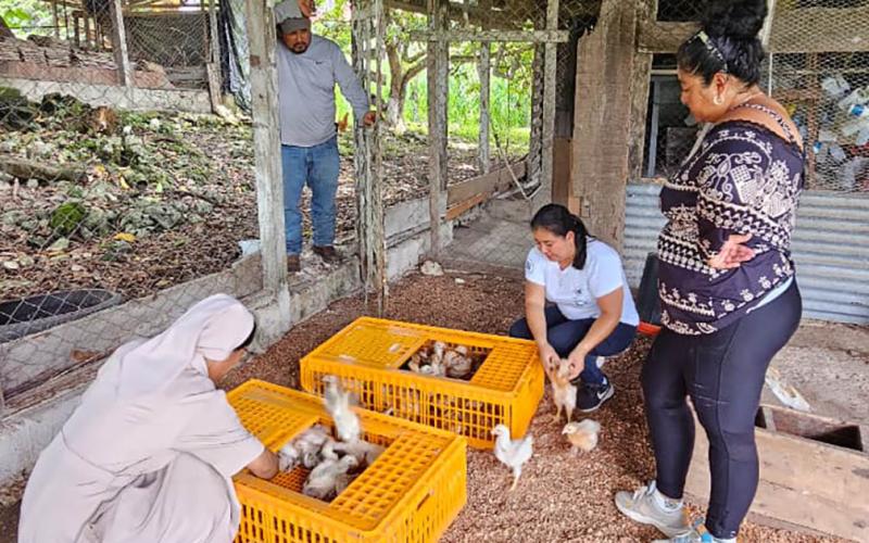 Entregan aves y capacitan en bioseguridad avícola 