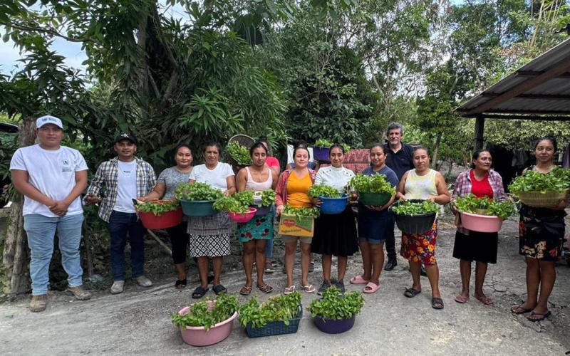 Entregan más de tres mil pilones a productoras de Melchor de Mencos