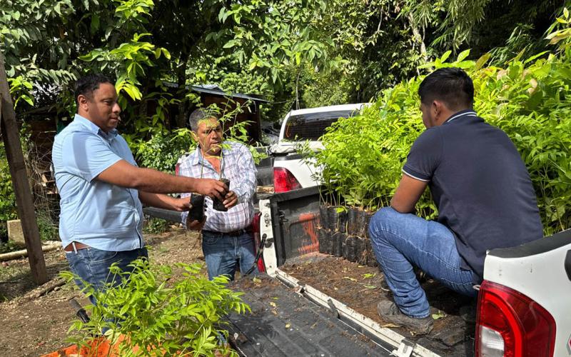 Entregan plantas forestales como parte de modelo de ganadería sostenible
