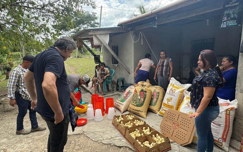Entregan pollos de engorde a familias de Melchor de Mencos