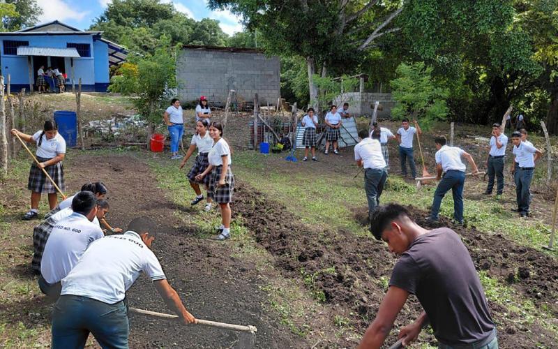 Escolares de Santa Ana aprenden a cultivar en huerto escolar