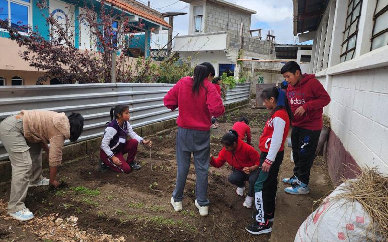 Estudiantes aprenden a cultivar conocimientos y alimentos sanos