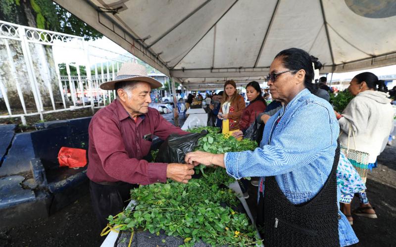 Feria del Agricultor llega a Bárcena, Villa Nueva