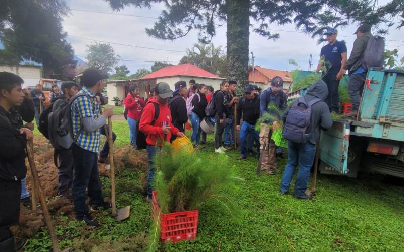 Fomentan conciencia ambiental con jornada de reforestación en Chimaltenango