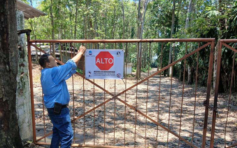 Fortalecen la vigilancia para prevenir influenza aviar en Chimaltenango