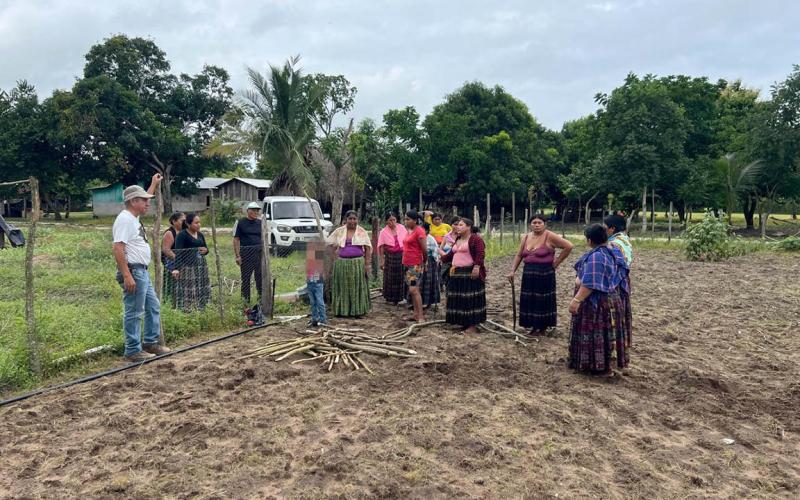 Fortalecen producción agrícola y seguridad alimentaria en Sayaxché
