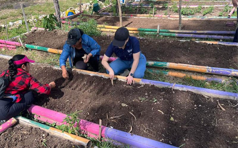 Fortalecen seguridad alimentaria en Chiquimula con acciones agrícolas y validación de menús escolares