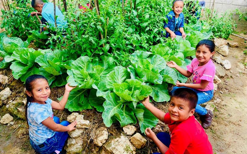 Huerto escolar en Tierra Blanca, siembra de conocimientos y valores