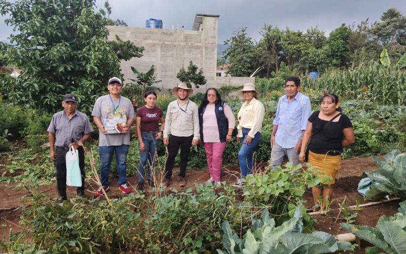 Huertos familiares impulsan la seguridad alimentaria en Santa Rosa