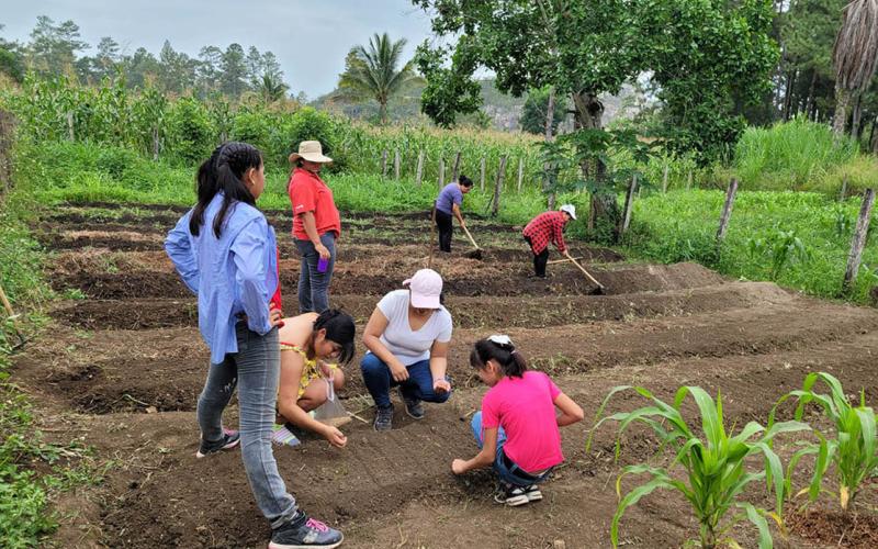Implementan huerto familiar en Poptún