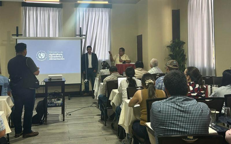 Impulsan control y manejo del Gusano Barrenador en Chiquimula