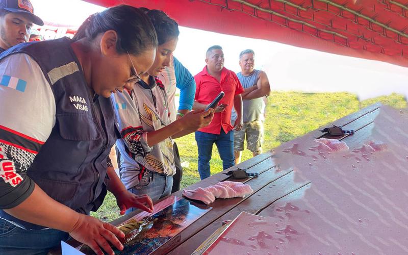 Impulsan pesca sostenible y dinamización económica en el lago Petén Itzá