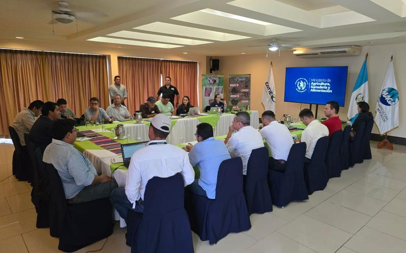 Inicia proceso para definir Plan Estratégico de Ganadería Sostenible en Petén