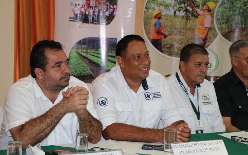 Invierten Q144 millones en incentivos forestales en Petén
