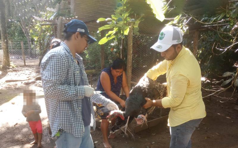 Jornada de sanidad animal en Poptún