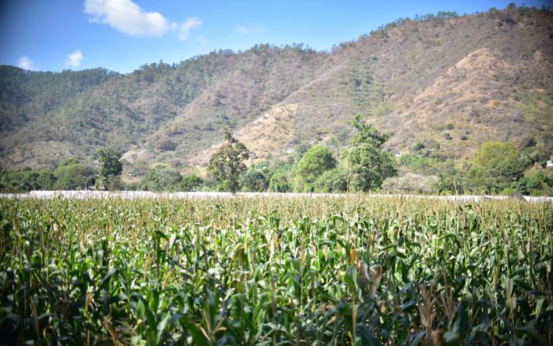 Lluvias irregulares obligan a monitorear 253 municipios en todo el país